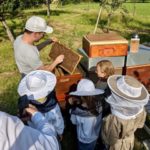 Besuch am Bienenstand